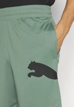 Puma Train All Day Big Cat - Sports Shorts - Eucalyptus/Black -Fashion clothing 150c303315da4fb0b9042075176c8ab2