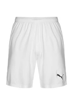 Puma Teamgoal 23 - Sports Shorts - White