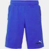 Puma Ess 2 Col 10" - Sports Shorts - Royal Sapphire -Fashion clothing 721af997e9754a429b01056cf9db5e50