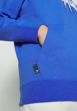 Puma Team Graphic Hoodie - Hoodie - Royal Sapphire 17 Puma Team Graphic Hoodie - Hoodie - Royal Sapphire -Fashion clothing 7259305169944668a12a724c14534d58