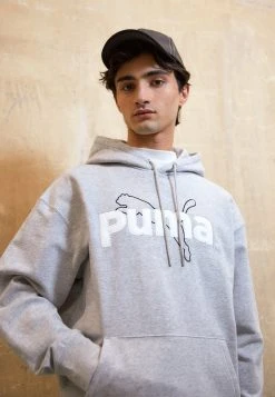 Puma Team Graphic Hoodie - Hoodie - Light Gray Heather -Fashion clothing 84b5596cb2f84e188704a9e059db6fe3